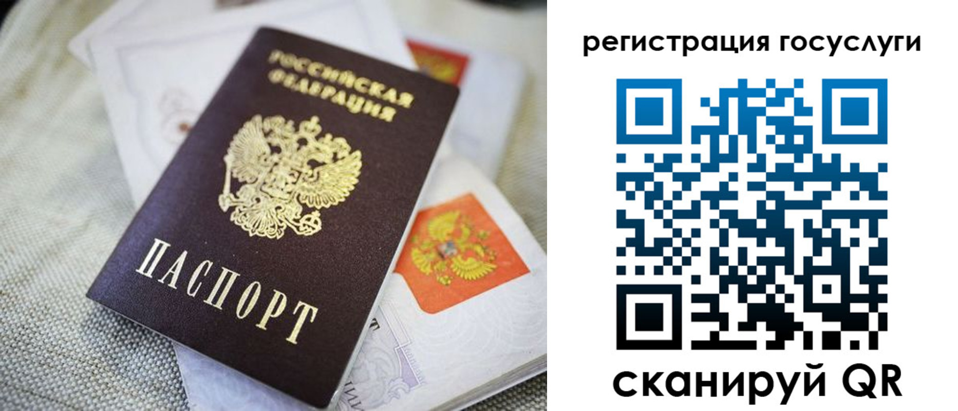 прописка гарантия в Жуковском